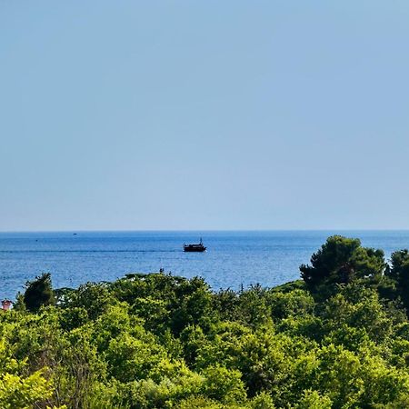 Appartamento Apartman Del Mar Porec Esterno foto